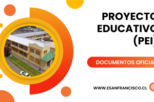 Banner Doc Oficial PEI