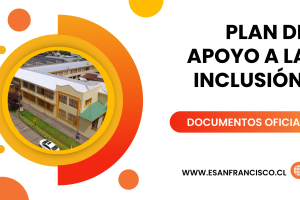 PLAN DE APOYO A LA INCLUSION